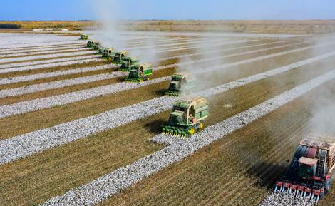 新疆生產(chǎn)建設(shè)兵團(tuán)